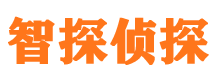 金湾外遇调查取证